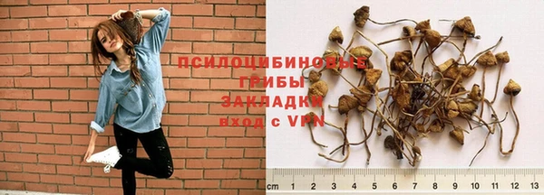 а пвп мука Абдулино