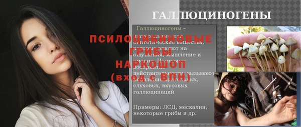 гашик Саяногорск