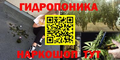 дистиллят марихуана Гай